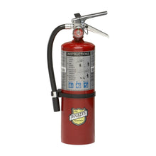 Load image into Gallery viewer, A red Buckeye fire extinguisher with a black hose, silver handle, and a gray instruction label on a white background.