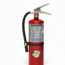 Load image into Gallery viewer, Buckeye 10914 Portable Fire Extinguisher label with specifications and features on a red background