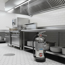Load image into Gallery viewer, Stainless steel fire extinguisher with visible brand logo on a white background