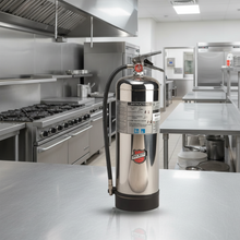 Load image into Gallery viewer, Stainless steel fire extinguisher on a white background