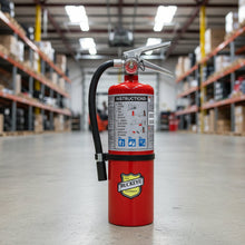 Load image into Gallery viewer, Buckeye 10914 Portable Fire Extinguisher label with specifications and features on a red background
