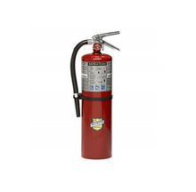 Load image into Gallery viewer, Buckeye ABC Dry Chemical Fire Extinguisher w/ Wall Hook – 10 lb.
