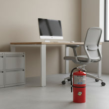 Load image into Gallery viewer, Buckeye 1212020lb Portable Fire Extinguisher label with specifications and features on a red background US made
