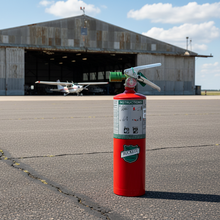 Load image into Gallery viewer, Buckeye 5 lb Halotron Clean Agent Fire Extinguisher
